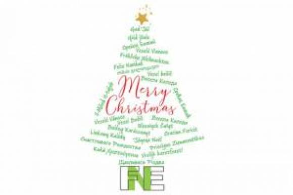 FNE желает вам счастливого Рождества и счастливого и успешного Нового года! Увидимся снова 11 января 2021 г.
