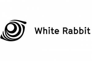 Инновация FNE: White Rabbit: Embrace Ze Fans: A Rabbit Chasing Pirates